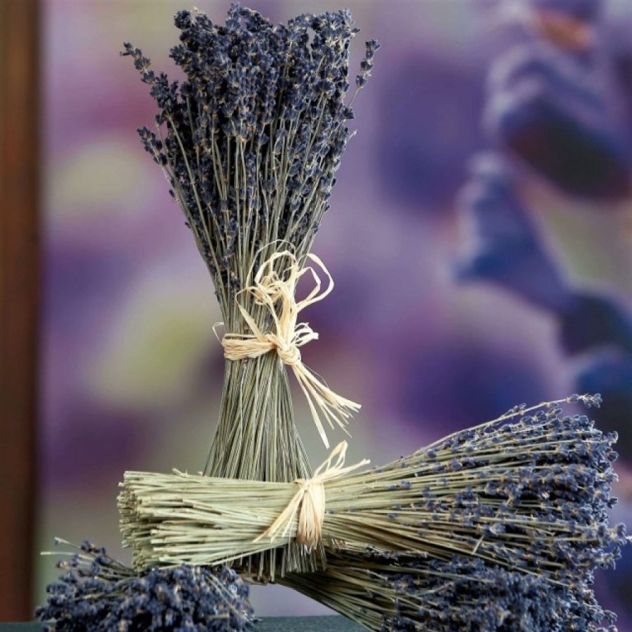 Beauty SPANISH | Lavender Bouquets | Spanish Shop Online